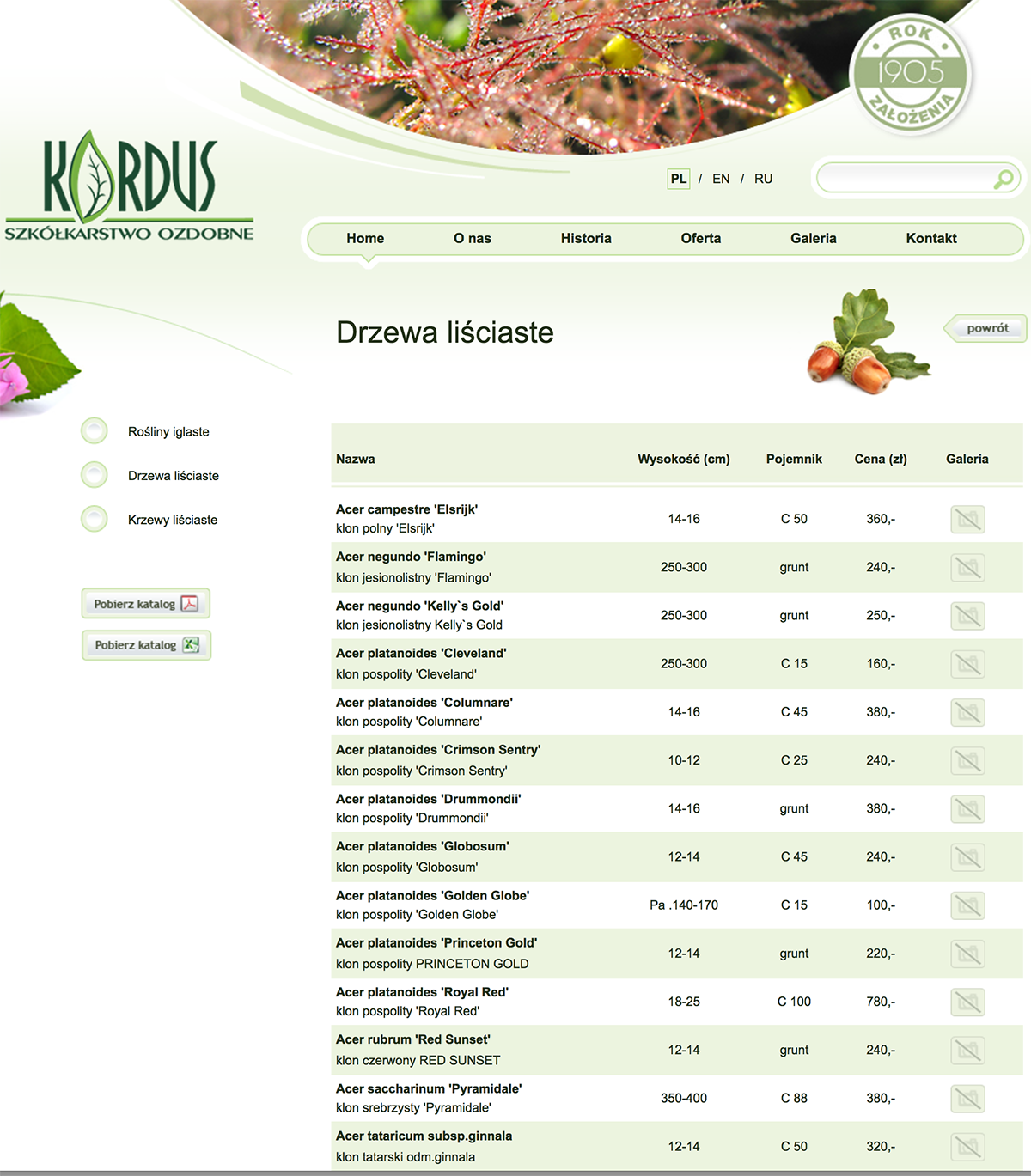Kordus - oferta